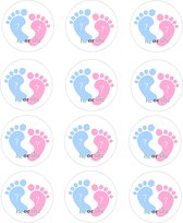 DW4Trading Geboorte Sticker He Or She Blauw-roze - Envelop - Sluitsticker - Babyshower - 24 Stuks – Ø 4,5 cm