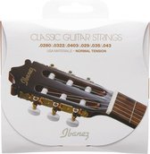 Ibanez ICLS6NT Classic Guitar - Klassieke gitaarsnaren