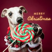 Snuit Shop kerstkaart honden 'Merry Christmas'
