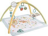 Bol.com Fisher-Price Simply Senses gym voor baby's - Babygym aanbieding
