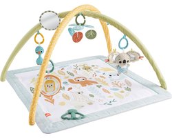 Fisher-Price Simply Senses gym voor baby's - Babygym - Met speelspeelkleed