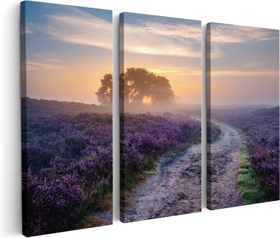 Artaza Canvas Schilderij Drieluik Pad in de Weide van de Veluwe - 60x40 - Klein - Foto Op Canvas - Canvas Print
