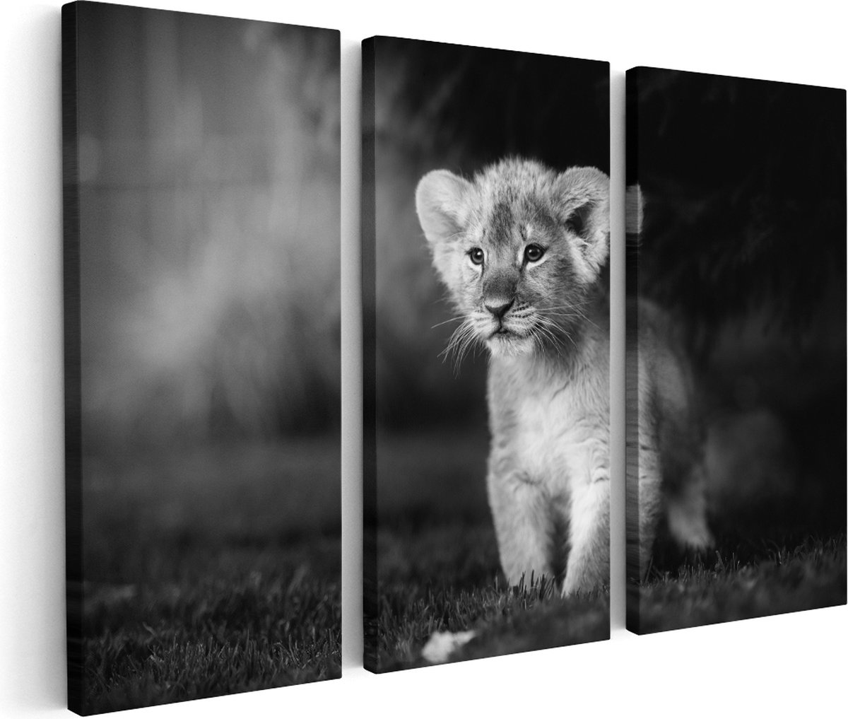 Artaza Canvas Schilderij Drieluik Schattige Leeuwen Welp - Baby Leeuw - Zwart Wit - 120x80 - Foto Op Canvas - Canvas Print