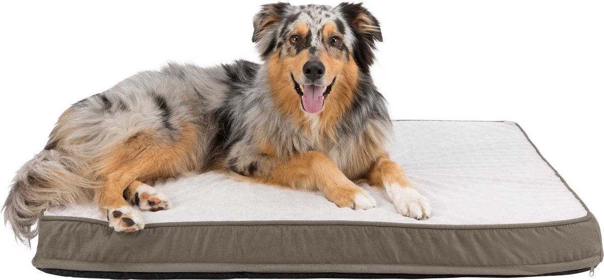 Trixie orthopädisches Hundebett Vital Loki 65 × 50 cm in rosa - hochwertiges Hundekissen mit Memory Foam - Hundekorb für kleine Hunde - gelenkschonend und entlastend - 37936
