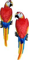 papagaai ara rood decoratie polystone set lang 40 cm