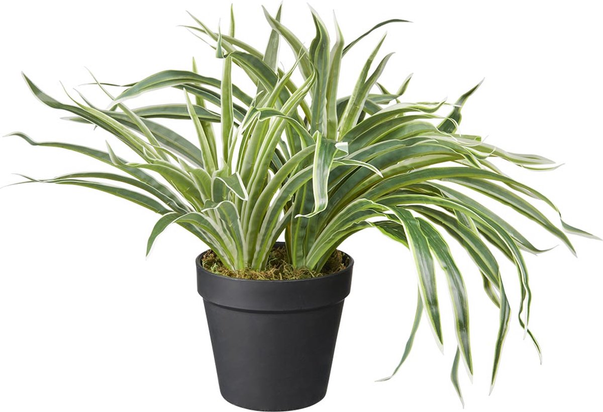 HTT Decorations Kunstplant Siergras bont H30cm - HTT Decorations kunstplanten