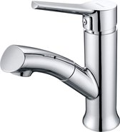 Tap for Bathroom with Pull-Out Shower Basin Mixer Tap High Mixer Tap for Bathroom Sink and Kitchen