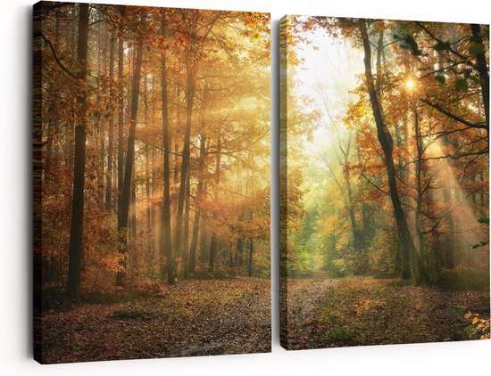 Artaza Canvas Schilderij Herfstbos Met Zonneschijn - Foto Op Canvas - Canvas Print