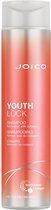 JOICO Youthlock Shampoo 300ml