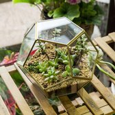 Handmade bloempot goud messing tafelblad geometrische pentagon bolvorm open terrarium voor varens mos vetplanten lucht plantenhouder glas display plantenbak (planten niet inbegrepen)