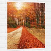 Muursticker - Landschap - Bomen - Bossen - Bladeren - Herfst - 75x100 cm Foto op Muursticker