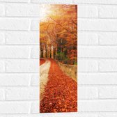 Muursticker - Landschap - Bomen - Bossen - Bladeren - Herfst - 20x60 cm Foto op Muursticker