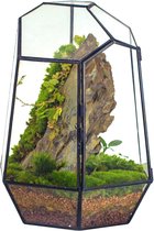 Pot de fleurs fait main en verre dodécaèdre pentagonal transparent,  terrarium