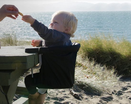 Mountain Buggy - Kinderstoel - Pod - Baby Eetstoel - Tafelhangstoel - Kinderstoel - Baby tafelstoel - Opvouwbare Eetstoel - Babystoel Voor Aan Tafel van Mountain Buggy — afbeelding 3