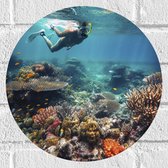 Muursticker Cirkel - Oceaan - Zee - Vissen - Koraal - Snorkelen - Kleuren - 30x30 cm Foto op Muursticker