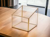 WinQ- Terrarium Carré or/verre 16x16x16 sans couvercle