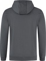 Ballin Amsterdam - Heren Regular fit Sweaters Hoodie LS - Antra - Maat XL