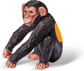 Tiptoi chimpansee jong