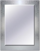 Spiegel Helsinki zilver - 49x214 cm