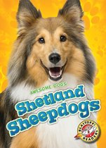 Awesome Dogs - Shetland Sheepdogs