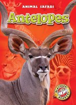 Animal Safari - Antelopes