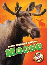 North American Animals - Moose