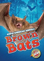 North American Animals - Brown Bats