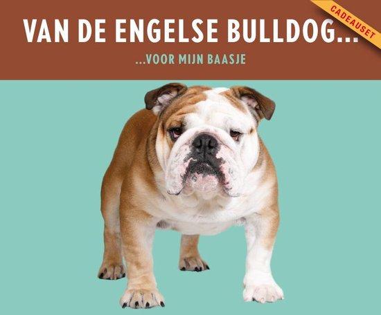 British bulldog boucle de ceinture et ceinture en cuir en boîte cadeau idéal amoureux des chiens présents 