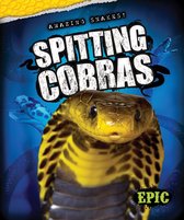 Amazing Snakes! - Spitting Cobras