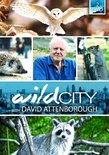 Wild City With David Attenborough