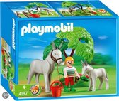 Playmobil Ezel met Veulen - 4187