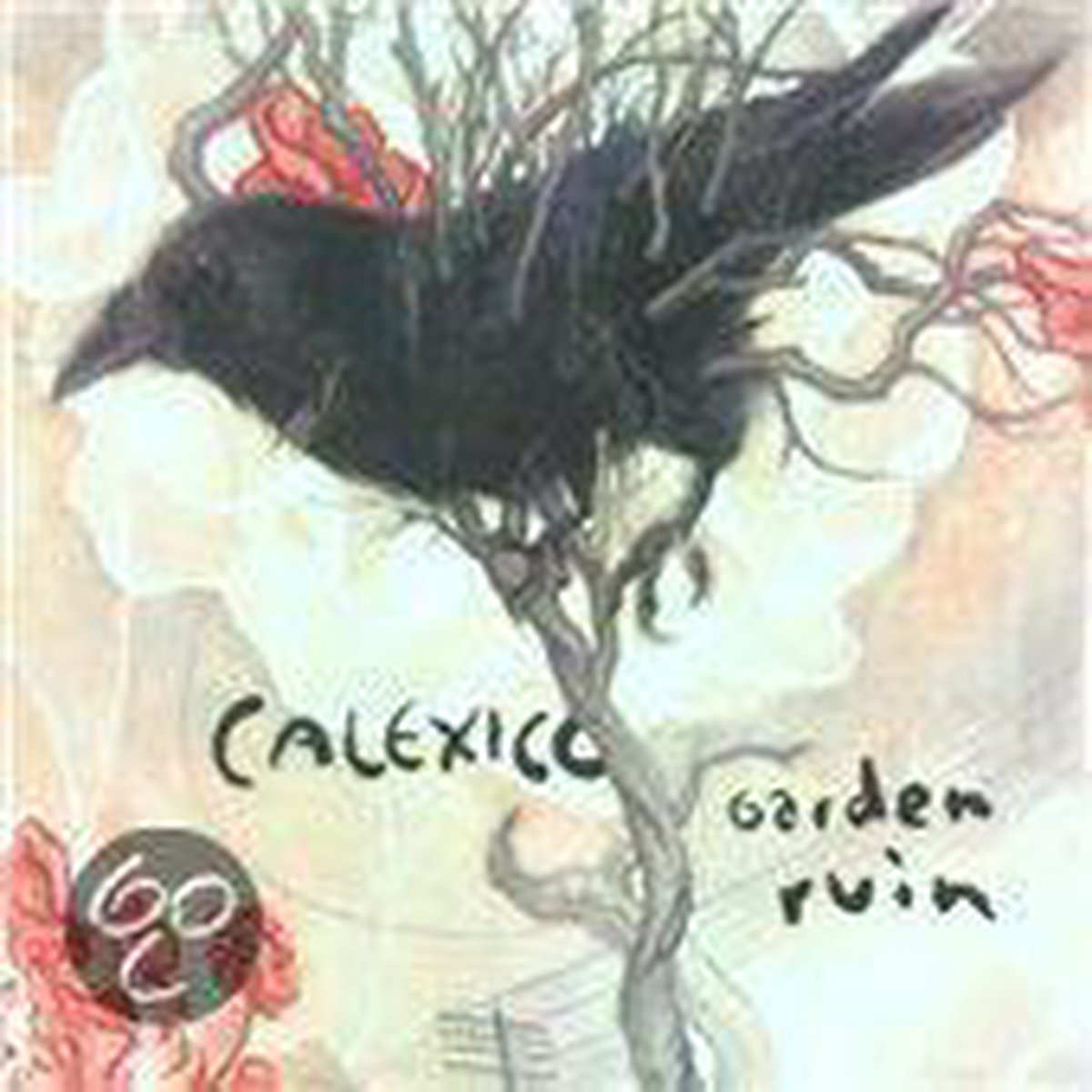 Garden Ruin (inclusief DVD)