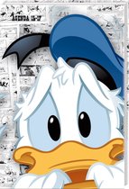 Donald duck schoolagenda 2016/2017