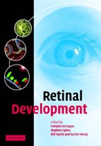 Retinal Development