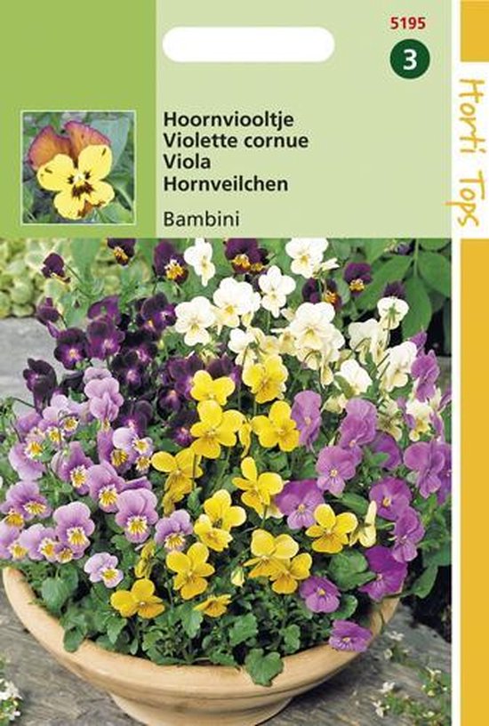 Graines Hortitops - Bambini Violette Cornue (Viola cornuta) | bol.com