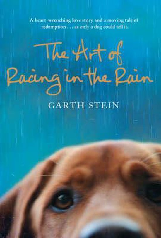The Art of Racing in the Rain - cover