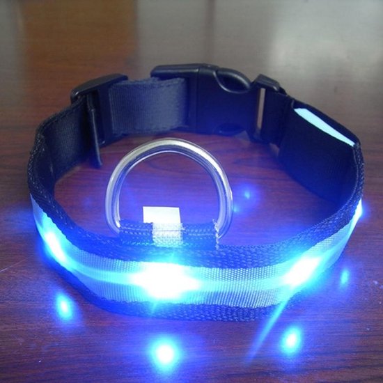 Nylon Honden Halsband Met LED Verlichting - L / Large - Blauw Licht |  bol.com