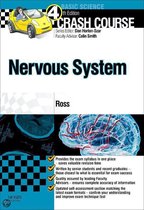 Crash Course Nervous System