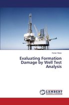 Evaluating Formation Damage by Well Test Analysis