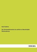 Die Steinsalzformation im mittleren Muschelkalk Württembergs