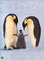 Pinguin - Frans Lanting, Christine Eckstrom