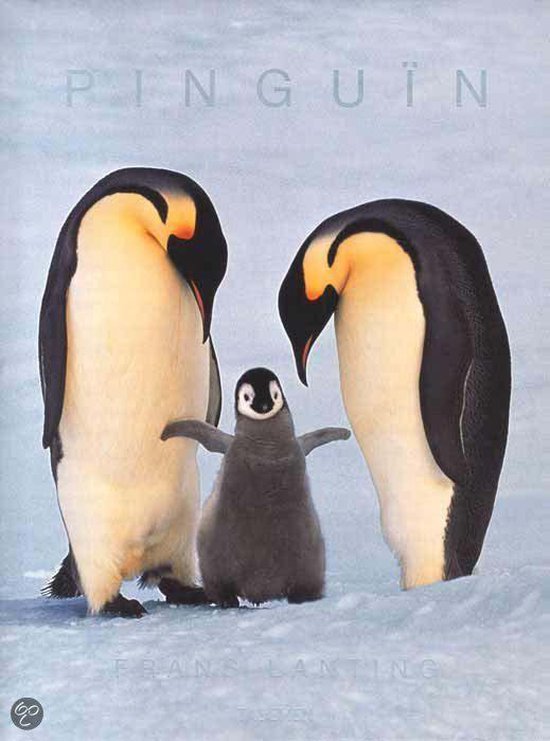 9783836531023 - Pinguin (T25)