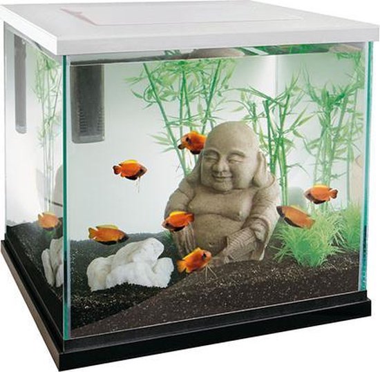 op tijd Smaak Glad Superfish Zen 30 Aquarium - 30x30x30 cm - 27L - Wit | bol.com