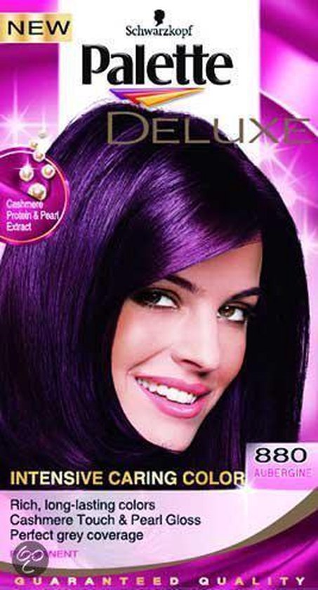 een kopje passen kwaad Palette Haarkleuring Palette 880 Aubergine | bol.com