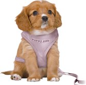 Trixie Dog Harness Junior Puppy Soft Harnais Avec Laisse Lilas - Riem CM / 2 MTR