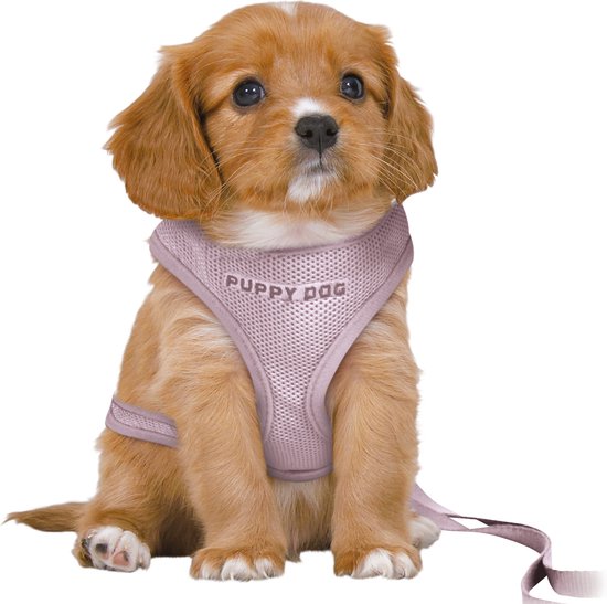 Foto: Trixie hondentuig junior puppy softtuig met riem lila 36 50x1 cm 2 mtr