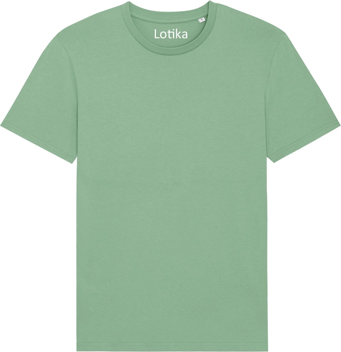 Lotika Daan T-shirt biologisch katoen dusty mint