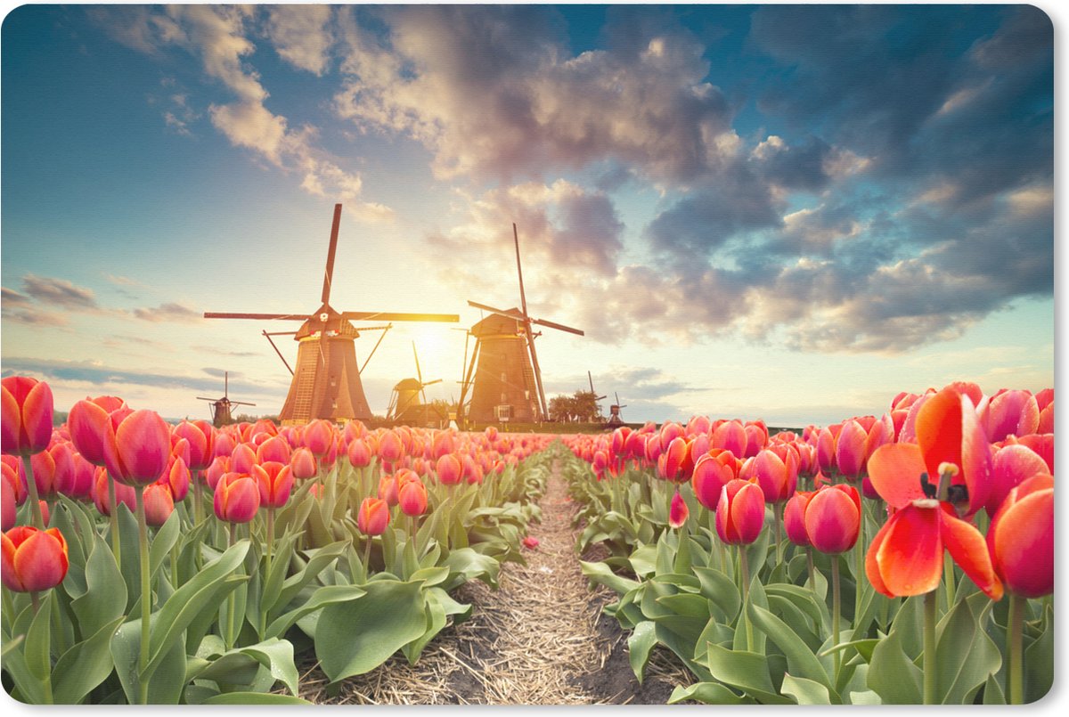 Muismat XXL 90x60 cm - Bureau onderlegger - Bureau mat Windmolen - Bloemen - Zon - Bureaumat - Gaming mousepad xl - Bureaulegger groot - Computer deskmat