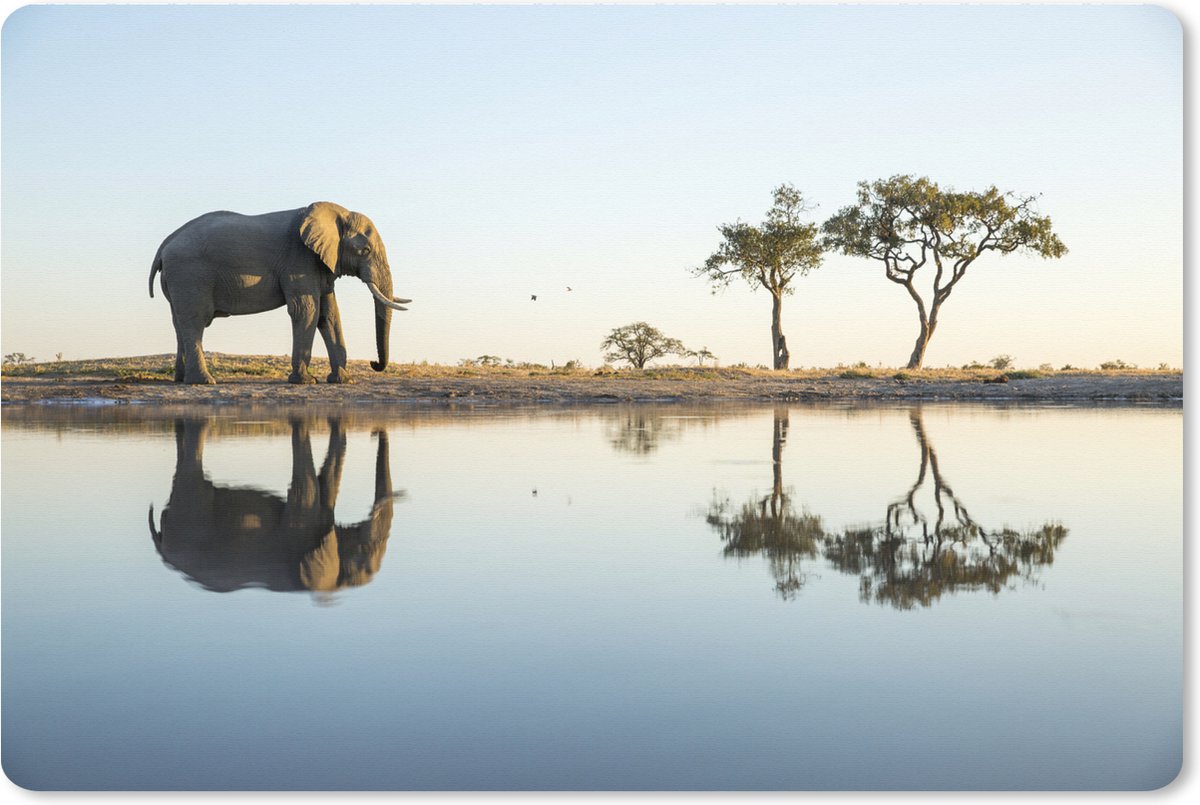 Muismat XXL 120x80 cm - Bureau onderlegger - Bureau mat Olifant - Water - Bomen - Dieren - Natuur - Bureaumat - Gaming mousepad xl - Bureaulegger groot - Computer deskmat