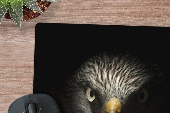Tapis de souris XXL - Sous-main - Tapis de bureau - Vogel - Aigle - Rapaces - Oeil - Bec - Lumière - 40x40 cm - Tapis de souris XXL